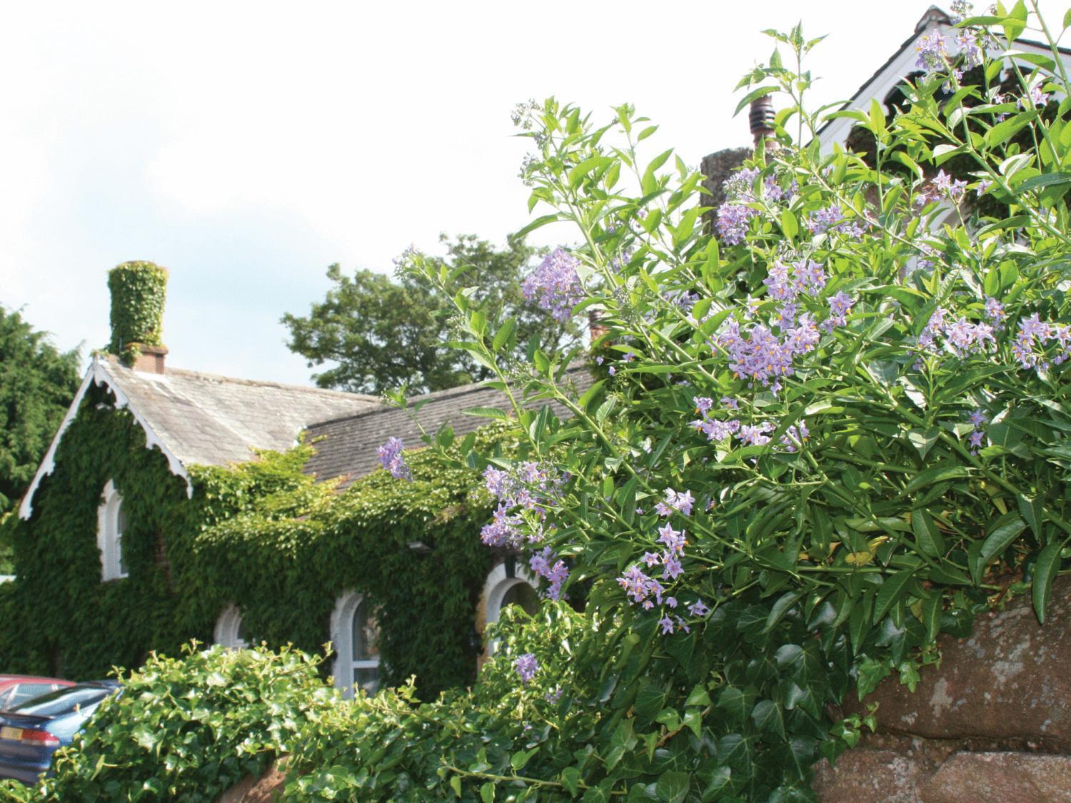 The Brantwood
